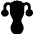 Gynecology Vagina Uterus Icon from Plump Solid Set