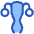 Gynecology Vagina Uterus Icon from Plump Duo Set