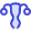 Gynecology Vagina Uterus Icon from Core Duo Set
