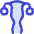 Gynecology Vagina Uterus Icon from Flex Duo Set