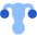 Gynecology Vagina Uterus Icon from Core Flat Set