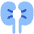Kidney Nephrology Icon from Plump Flat Set