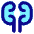 Kidney Nephrology Icon from Core Pop Set
