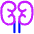 Kidney Nephrology Icon from Plump Neon Set
