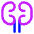 Kidney Nephrology Icon from Core Neon Set