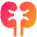 Kidney Nephrology Icon from Plump Gradient Set