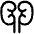 Kidney Nephrology Icon from Plump Line Set