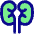 Kidney Nephrology Icon from Plump Pop Set