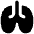 Lungs Icon from Flex Solid Set