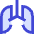 Lungs Icon from Sharp Duo Set
