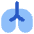 Lungs Icon from Core Flat Set