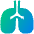 Lungs Icon from Plump Gradient Set