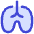 Lungs Icon from Flex Duo Set