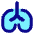 Lungs Icon from Core Pop Set