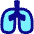 Lungs Icon from Plump Pop Set