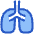 Lungs Icon from Plump Duo Set