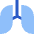 Lungs Icon from Sharp Flat Set