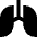 Lungs Icon from Sharp Solid Set