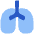 Lungs Icon from Plump Flat Set