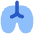 Lungs Icon from Flex Flat Set