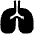Lungs Icon from Plump Solid Set
