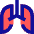 Lungs Icon from Sharp Pop Set