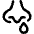 Runny Nose Icon from Core Line Set