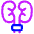 Urology Unirary Tract Icon from Plump Neon Set