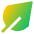 Leaf Icon from Sharp Gradient Set