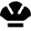 Shell Icon from Sharp Solid Set
