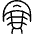 Trilobite Fossil Shell icon - Free transparent PNG, SVG. No sign up needed.