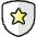 Protection Shield Star icon - Free transparent PNG, SVG. No sign up needed.