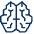 Brain 1 icon - Free transparent PNG, SVG. No sign up needed.