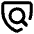 Shield Privacy Policy Check Icon from Core Remix Set