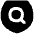 Shield Privacy Policy Check Icon from Flex Solid Set