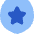 Shield Star Police Badge Icon from Flex Flat Set