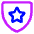 Shield Star Police Badge Icon from Core Neon Set