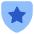 Shield Star Police Badge Icon from Core Flat Set