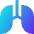 Lungs Icon from Sharp Gradient Set