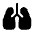 Download free Pulmonology Fill PNG, SVG vector icon from Rounded Fill - Material Symbols set.