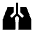 Pulmonology Fill Icon from Sharp Fill - Material Symbols Set