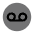 Record Circle Icon from Solar Bold Duotone Set