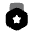Medal Star Icon from Solar Bold Duotone Set