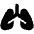 Lungs Icon from Font Awesome Solid Set