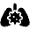 Lungs Virus Icon from Font Awesome Solid Set