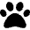 Paw Icon from Font Awesome Solid Set