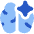 Artificial Intelligence Spark icon - Free transparent PNG, SVG. No sign up needed.