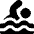 Swimming Icon from Flex Solid Set