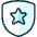 Protection Shield Star icon - Free transparent PNG, SVG. No sign up needed.