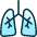 Medical Specialty Lungs Icon from Ultimate Duotone Set